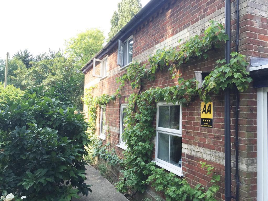 South Norfolk Guest House Great Moulton Exterior foto