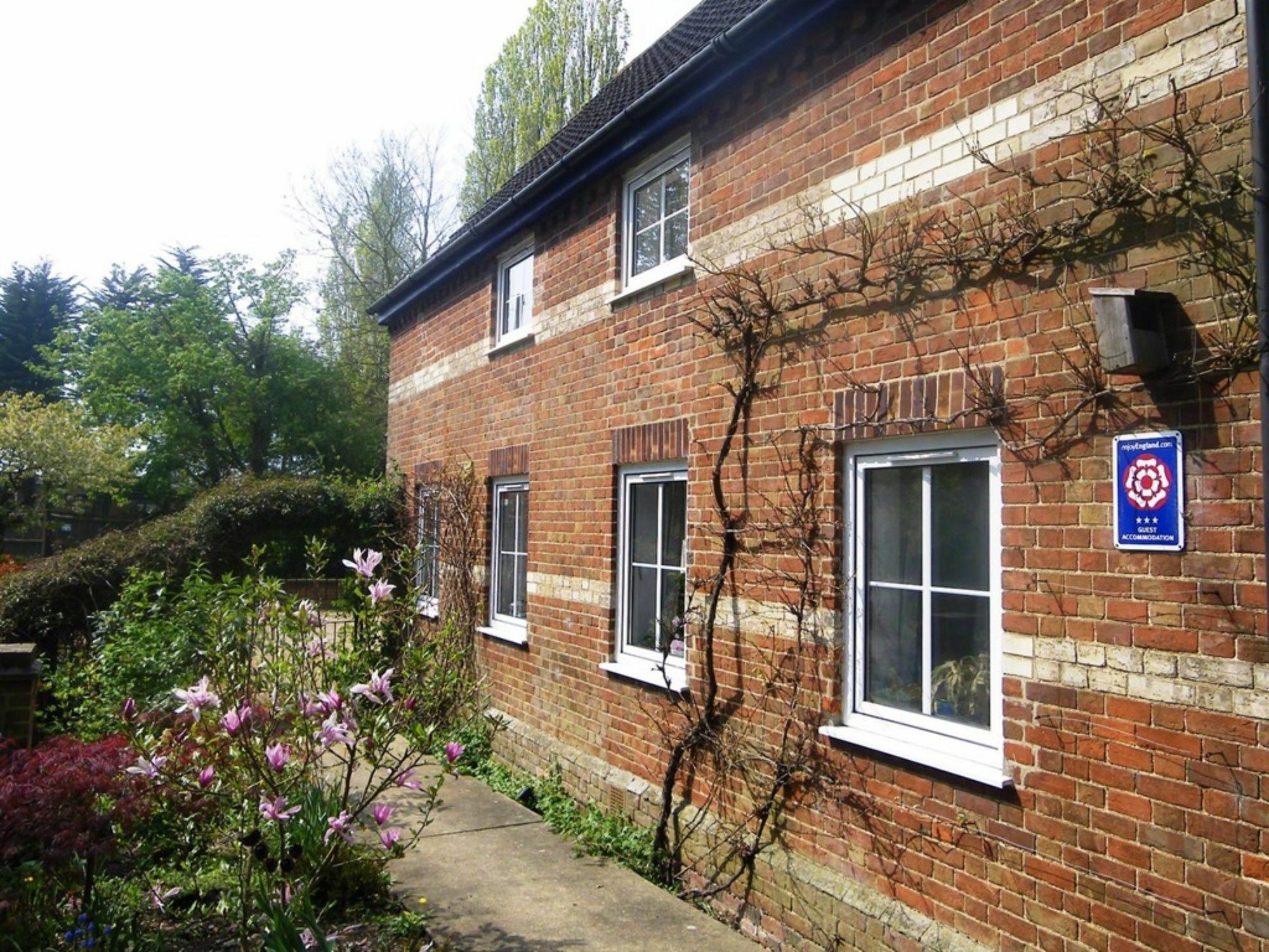 South Norfolk Guest House Great Moulton Exterior foto